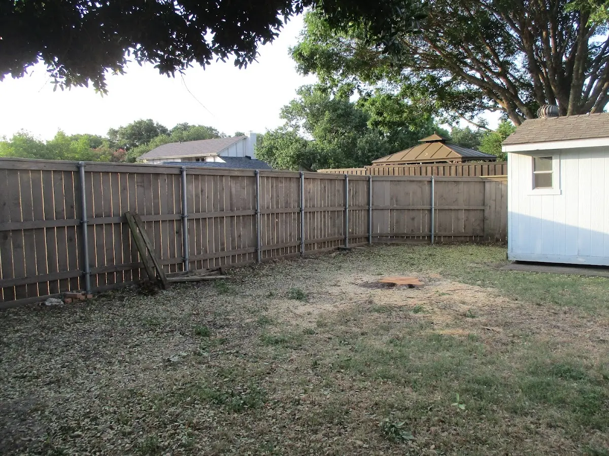 Cleared yard after professional tree removal in Aniwa
